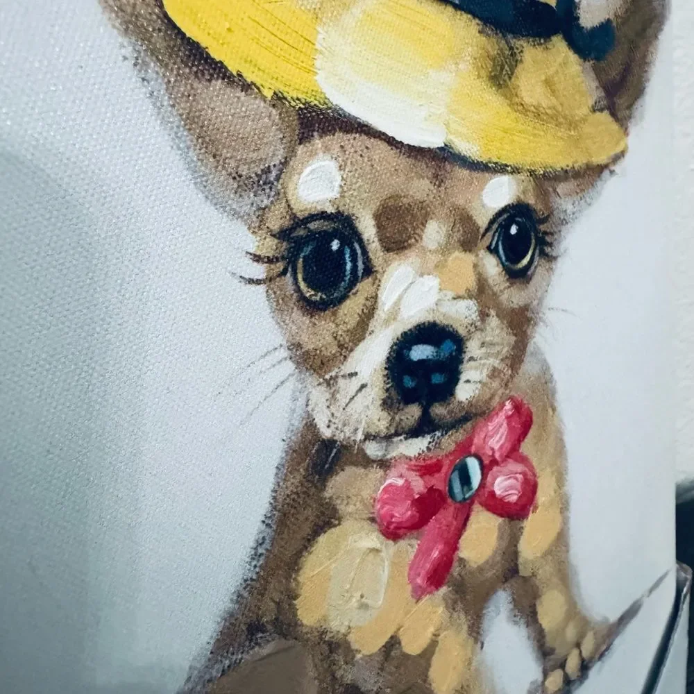 N/A adorable chihuahua